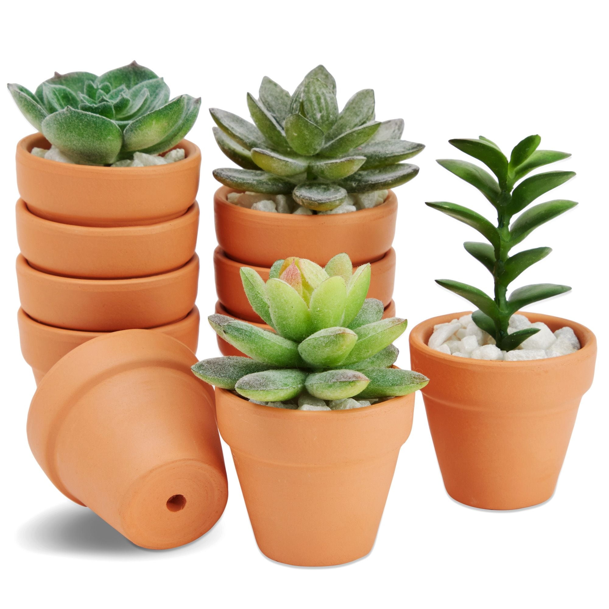 pot Pot de Plante Terracotta